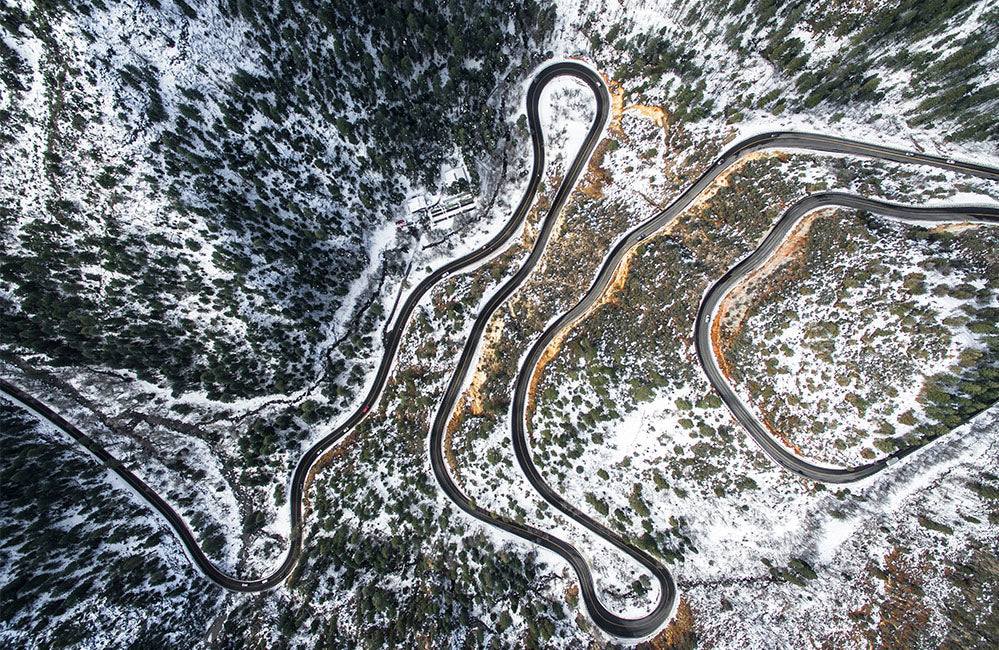 When to trust your gut?